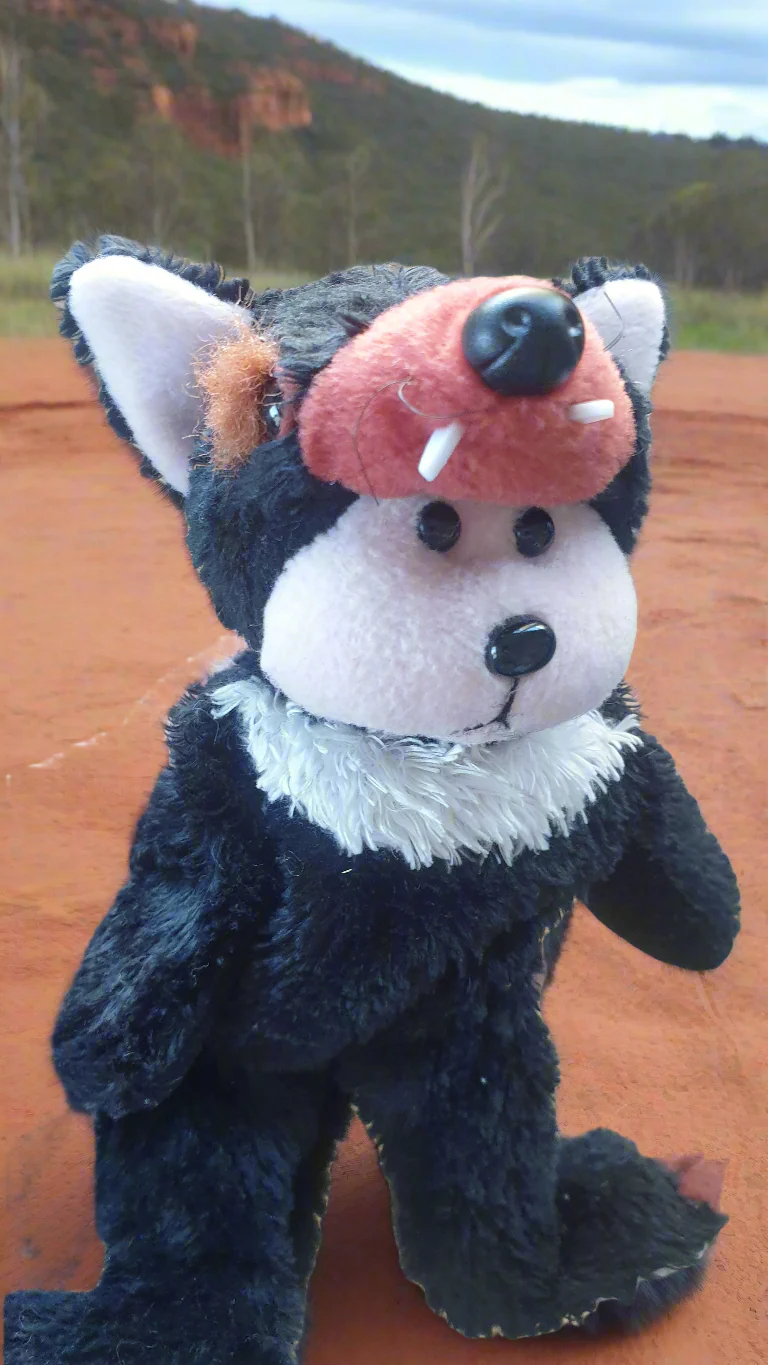 BK Beanie Kids Bear - Tas the Tassie Devil Bear (2008) - Image 4