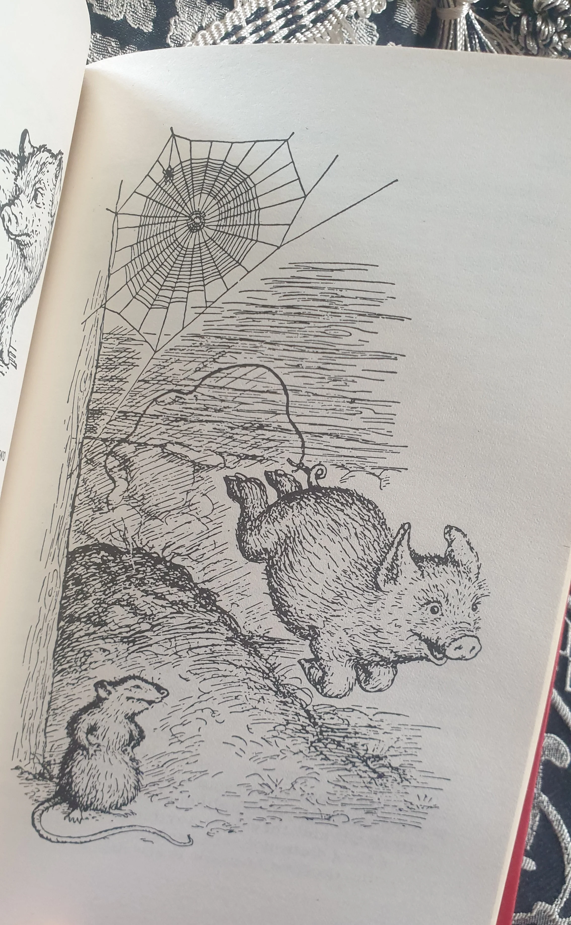 Charlotte's Web by E B White - Vintage Hardback Book - Image 4