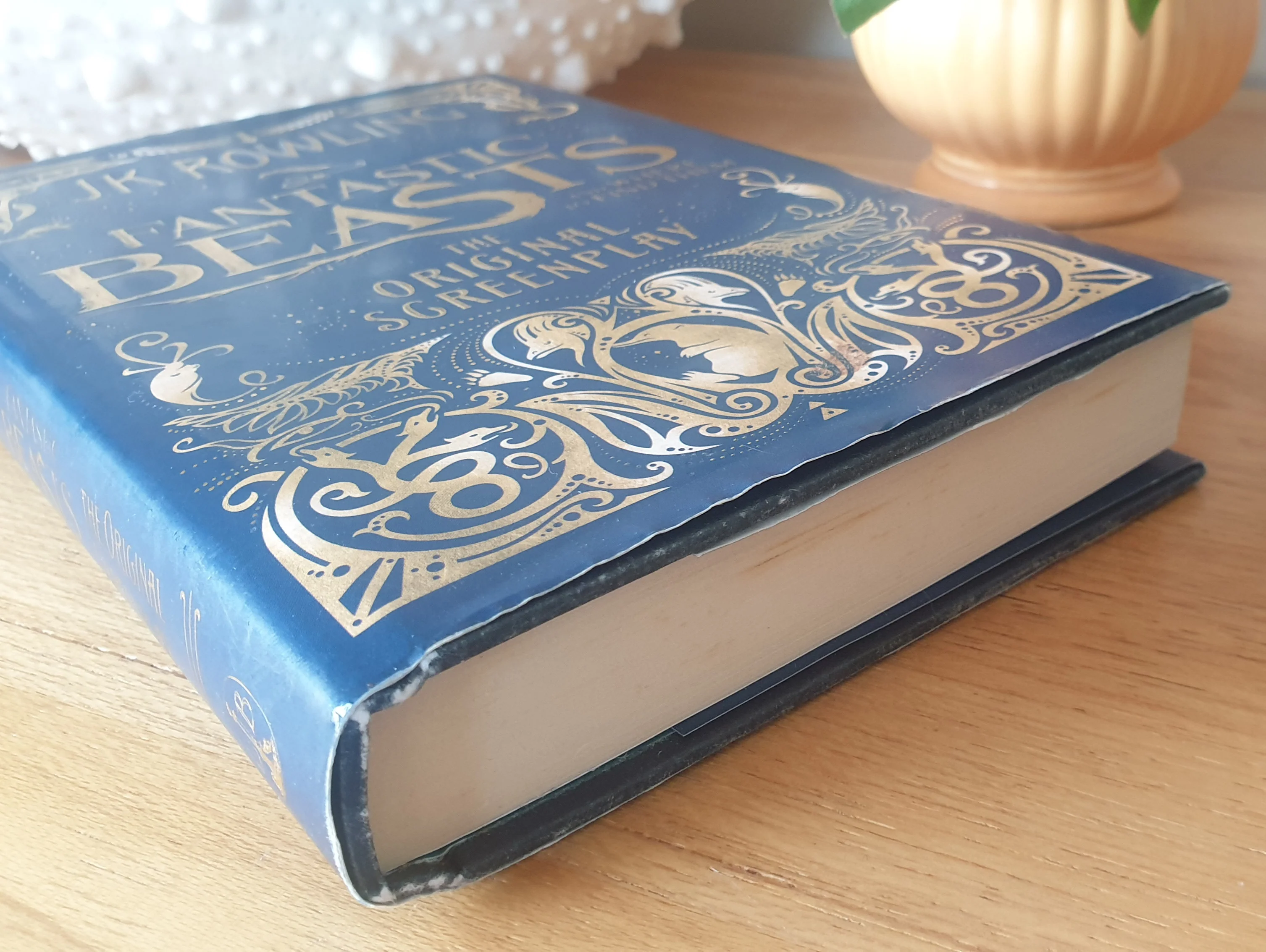 Fantastic Beasts and Where to Find Them - Original Screenplay - Image 4