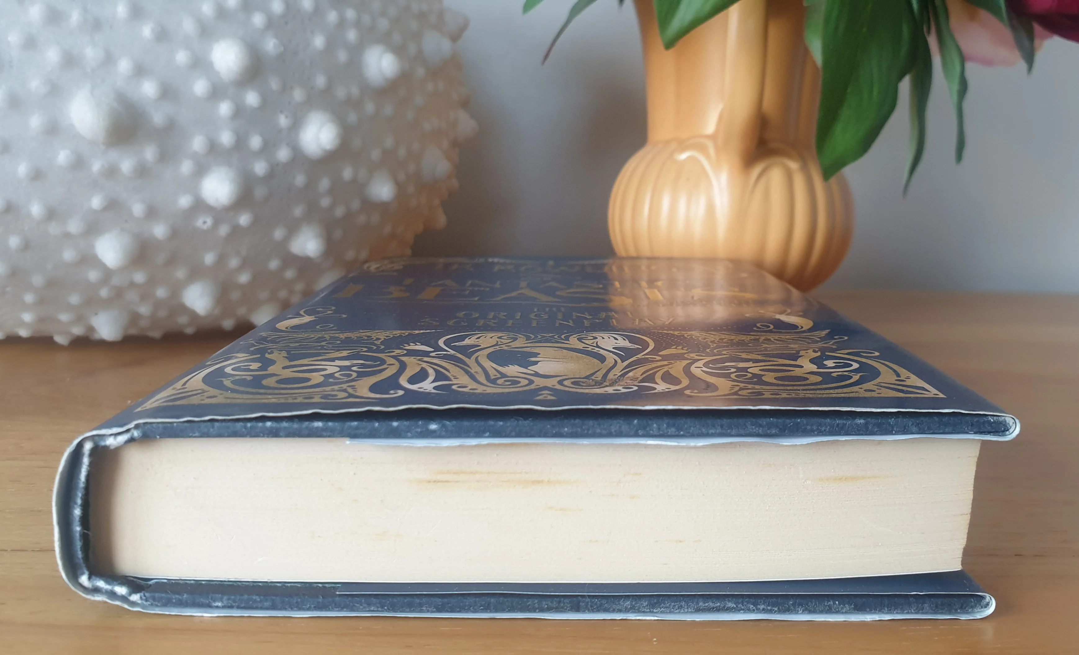 Fantastic Beasts and Where to Find Them - Original Screenplay - Image 6