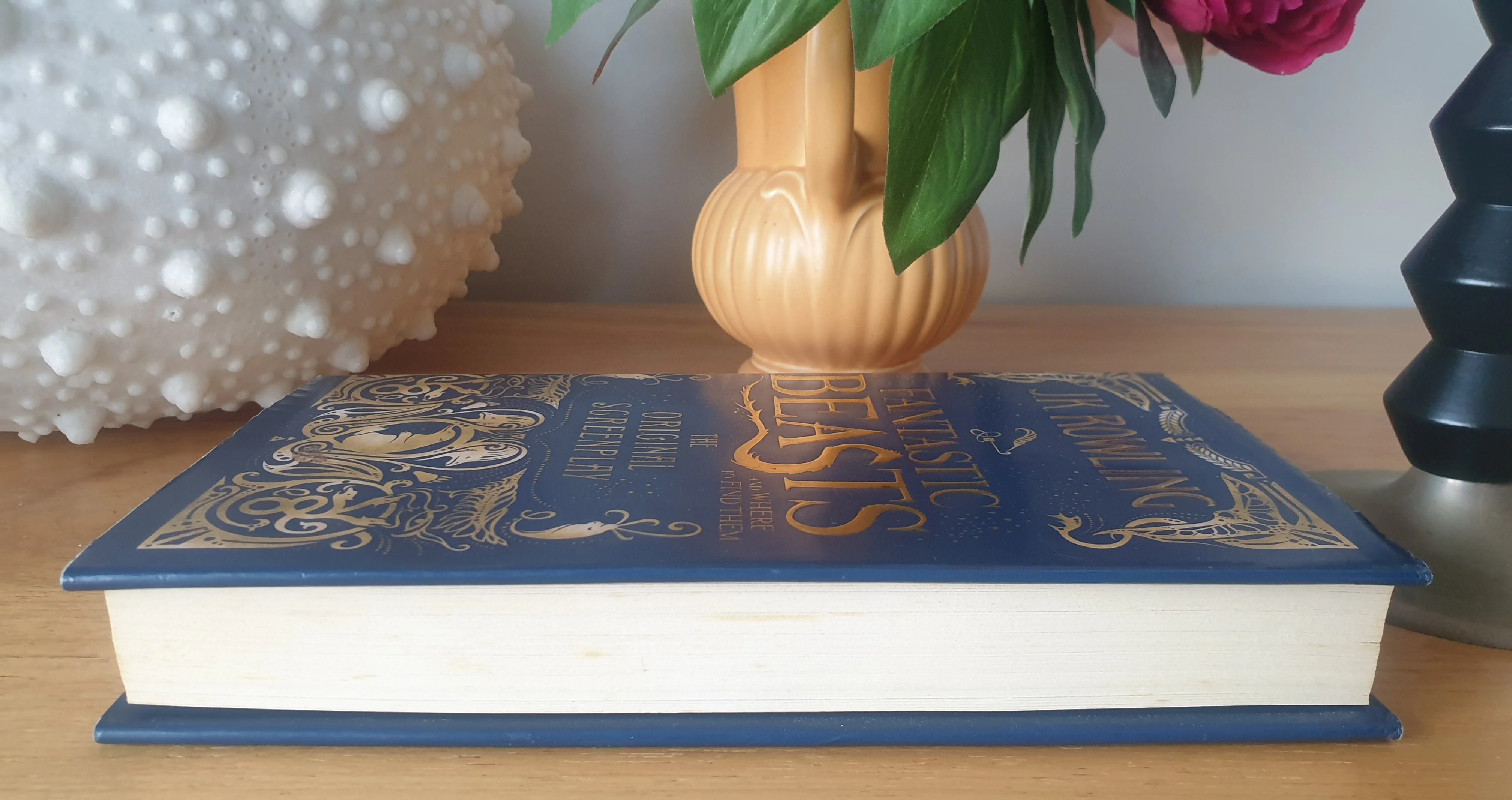 Fantastic Beasts and Where to Find Them - Original Screenplay - Image 7
