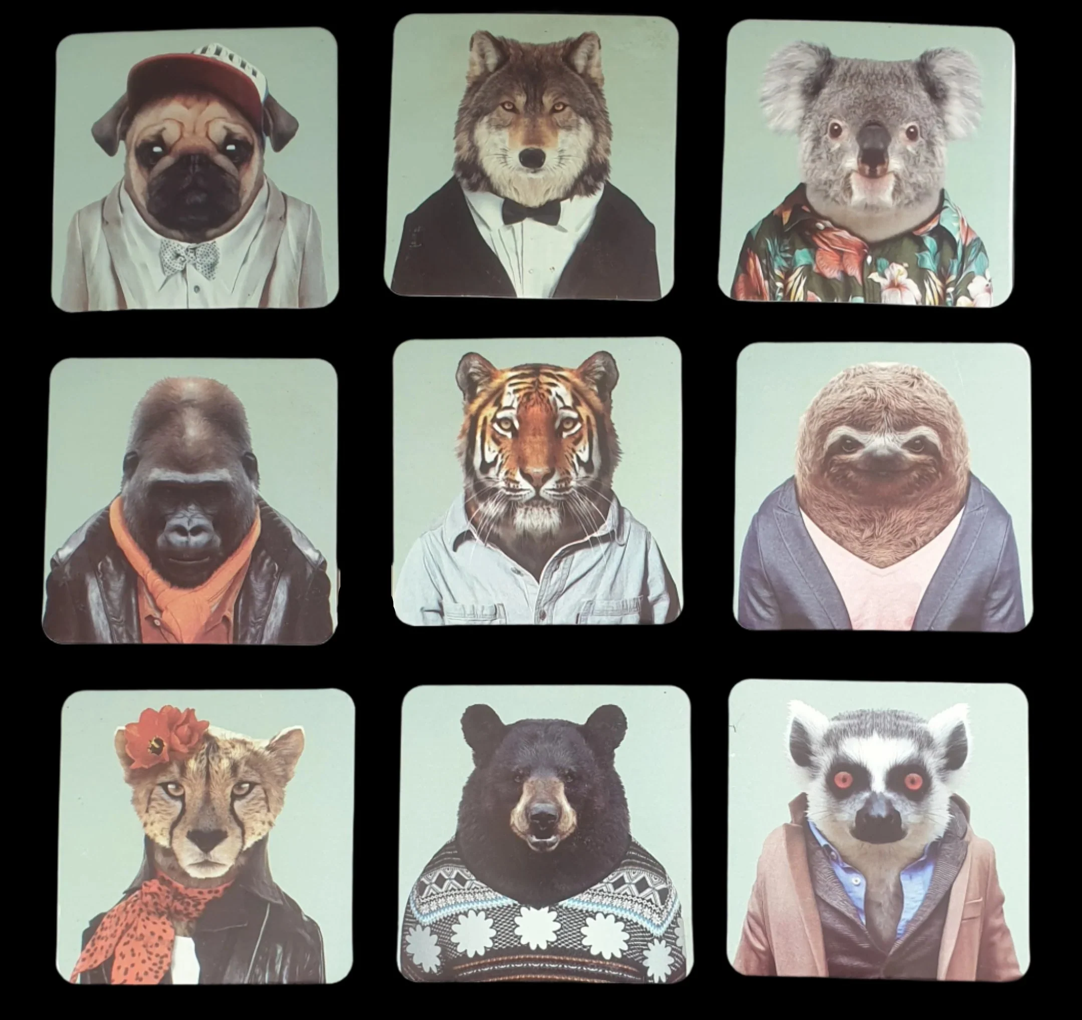 Set of Preppy Animal Fridge Magnets