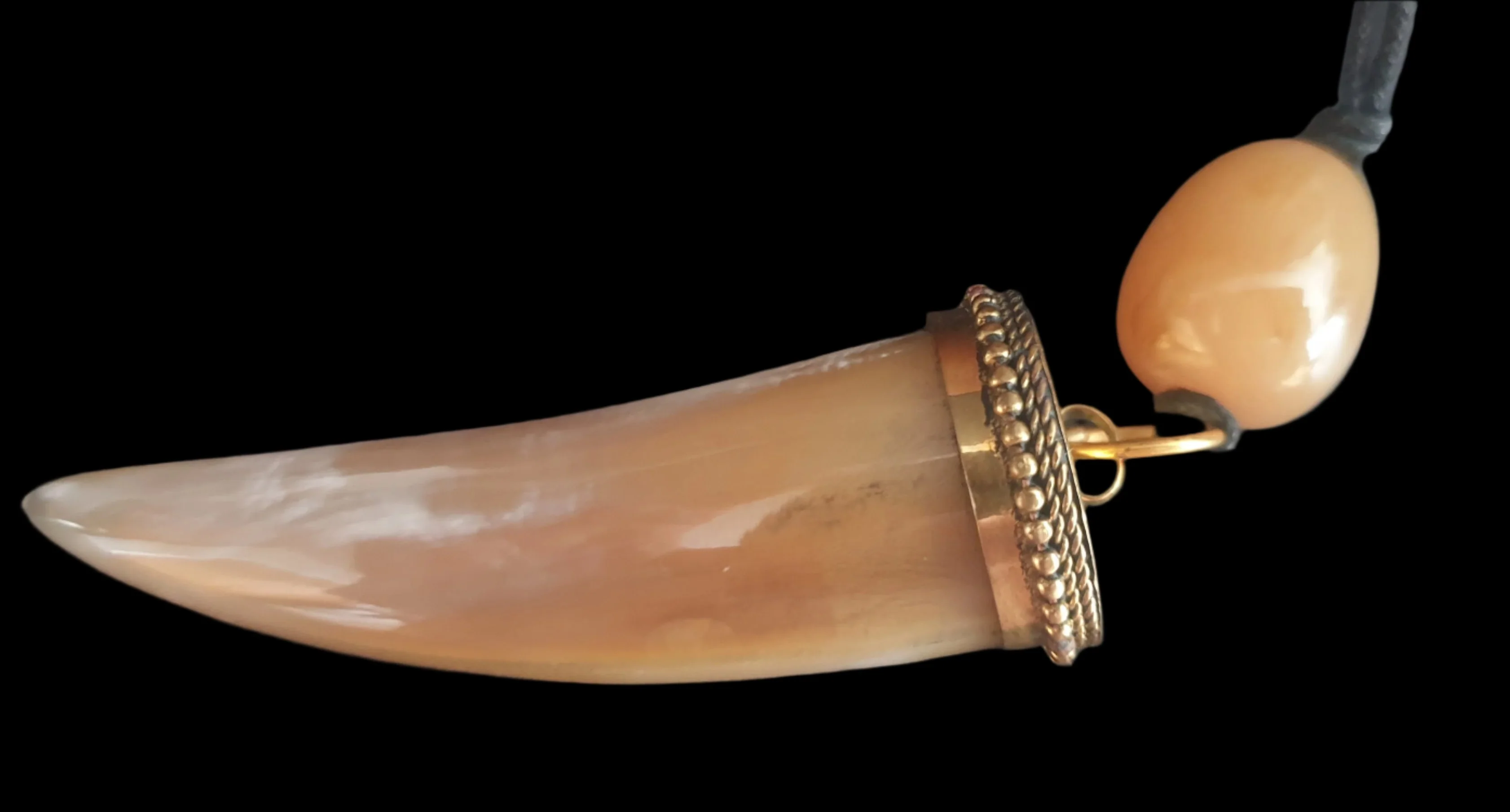 Tribal Animal Tooth Necklace - Image 2